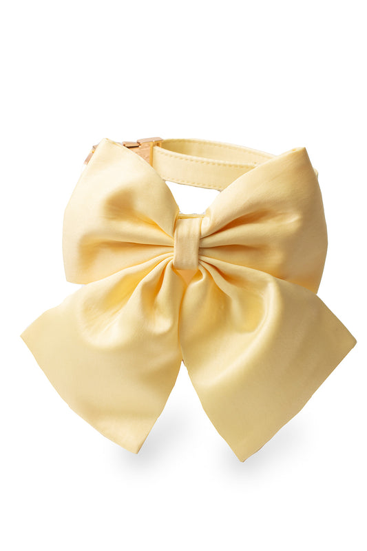 Our Bestie Pet Bow in Buttercup Yellow and collar front a front perspective