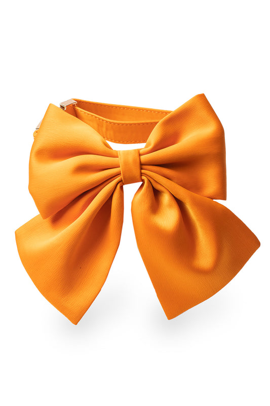 Bestie Pet Bow in Oopsie Daisy Orange