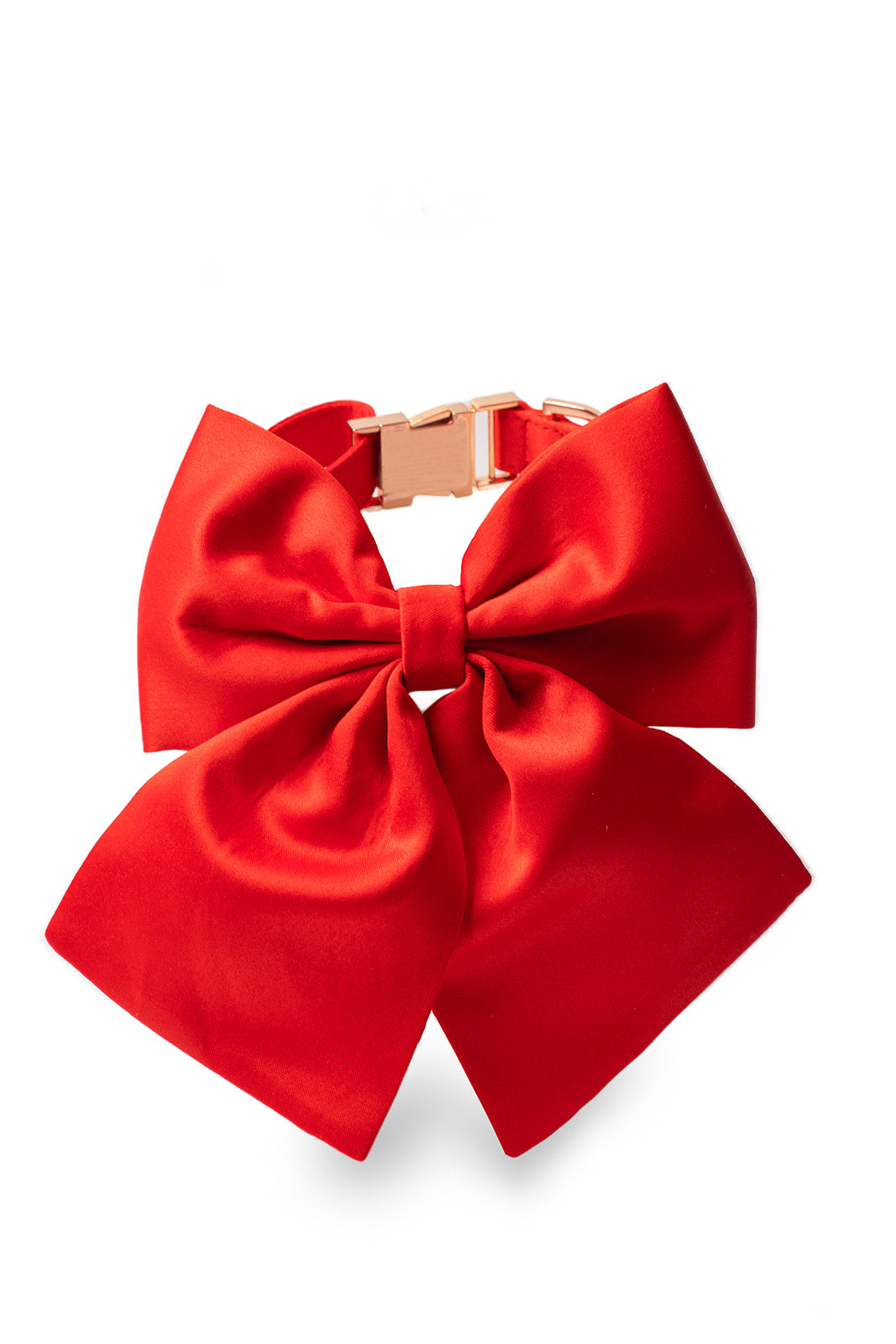 Bestie Pet Bow in Carmen Scarlet