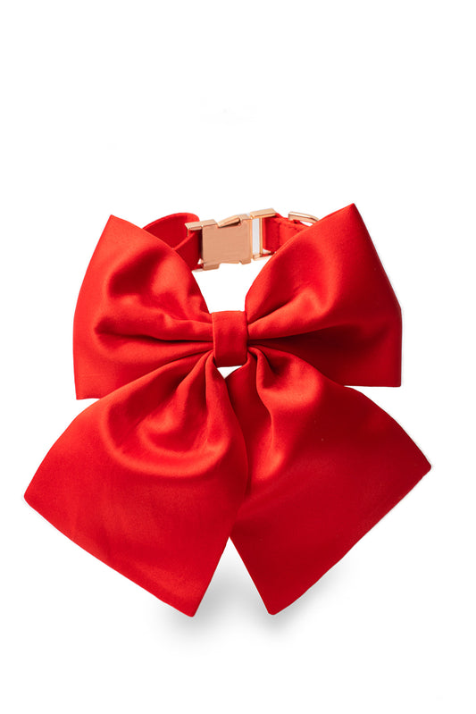 Bestie Pet Bow in Carmen Scarlet